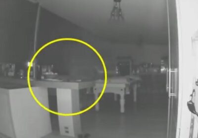 Câmera de segurança flagra fantasma andando com o cachorro da família; veja vídeo