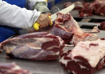 Brasil poderá exportar carne bovina para o México