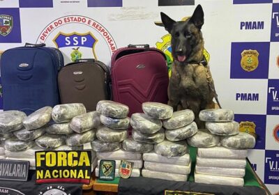 Drogas avaliadas em quase R$ 1 milhão são apreendidas em embarcação no AM