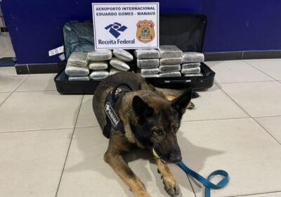 Cão farejador encontra drogas em malas no aeroporto de Manaus