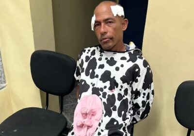 Homem vestido de ‘vaca’ tenta furtar mochila e acaba preso