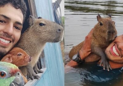 ‘Animal silvestre não é pet’, diz Ibama sobre caso de influenciador do AM e capivara