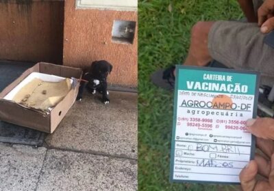 Morador de rua troca cachorro por programa com prostituta