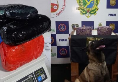 Policia apreende mais de R$243 mil em drogas no interior do Amazonas