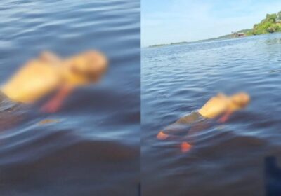 Corpo boiando em lago era de homem desaparecido há três dias em Manaus