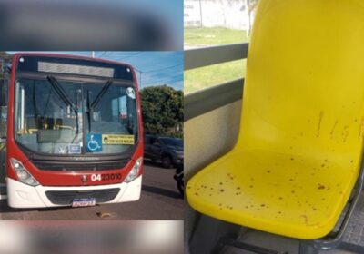 PM é baleado durante tentativa de assalto em ônibus de Manaus