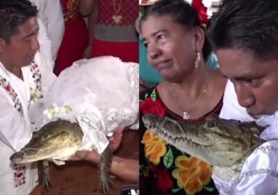 Prefeito se casa com crocodilo em ritual ancestral de prosperidade