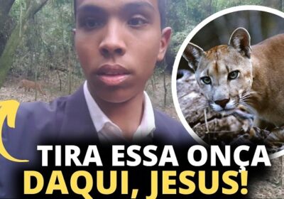 Onça-parda aparece em pregação de pastor na mata e ele paralisa: ‘Jesus, tira essa onça daqui’; veja