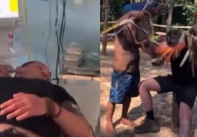 VÍDEO: gringo passa mal ao fazer ritual da tucandeira na Amazônia