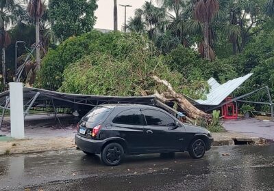 VÍDEOS: Chuva com ventania causa destruição e transtornos em Manaus