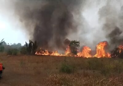 VÍDEOS: fogo invade o Amazonas e sufoca população