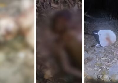 Dupla é encontrada morta com pescoço cortado em igarapé de Manaus