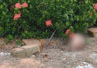 Cabeça humana é encontrada por moradores no Monte das Oliveiras, em Manaus