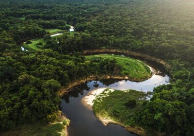 Investimentos na preservação da Amazônia superam R$ 590 milhões