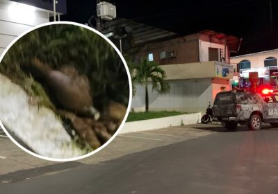 VÍDEO: Artefato explosivo é deixado na porta de delegacia no Colônia Antônio Aleixo, em Manaus