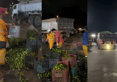 Carga de 18 toneladas de limão é apreendida em embarcação no AM