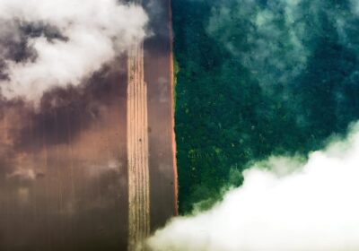 Conhecimento indígena pode melhorar relação com o meio ambiente