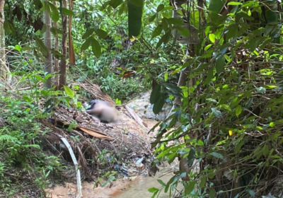 Corpo em estado de decomposição é encontrado na zona leste de Manaus