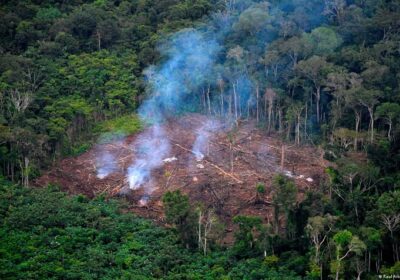 Desmatamento na Amazônia tem queda de 21,8% e no Pantanal, de 9,2%