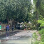 VÍDEO: Galhos de árvores caem durante chuva e interditam rua em Manaus
