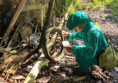 Mais de 26 mil casos suspeitos de arboviroses foram notificados no Amazonas