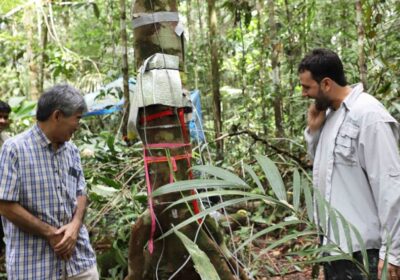 Manejo florestal sustentável e uso de tecnologia é objetivo de pesquisa no AM