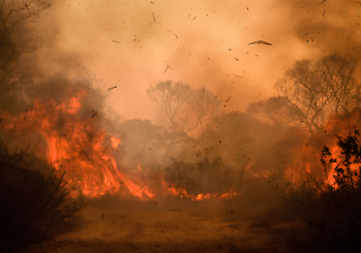 Governo vai liberar R$ 100 mi para combate a incêndios no Pantanal
