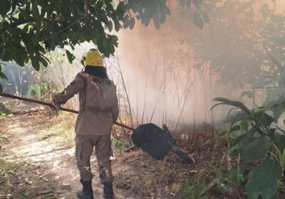 AM registra 560 focos de incêndio no sul do estado e aos arredores de Manaus
