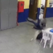 VÍDEO: Aluno autista fica ferido após ser agredido por funcionário de escola