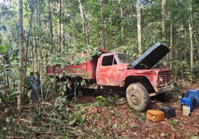 Crime ambientais: Ipaam aplica multas e faz apreensões de equipamentos na Operação Curupira