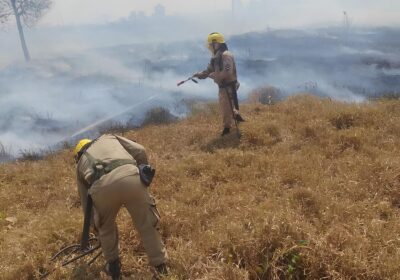 Incêndio é combatido em área de pasto no interior do Amazonas