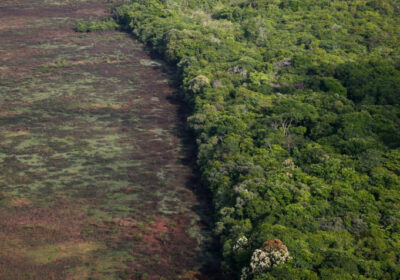 Justiça bloqueia R$ 292 milhões de acusado de desmatar a Amazônia