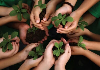 Lei inclui mudança climática e biodiversidade na educação ambiental