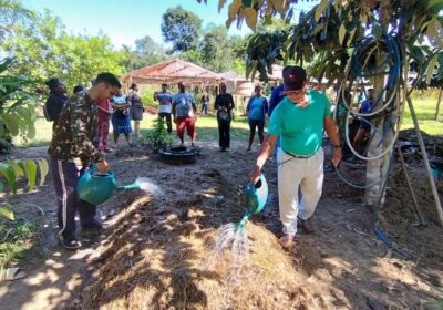 Mecanização e compostagem amenizam efeitos da estiagem na produção agrícola