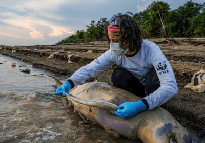 Mudanças climáticas já interferem em secas e cheias na Amazônia