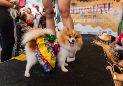 ‘Arraial Pet’ em Manaus terá desfile caipira, prêmios e adoção de animais