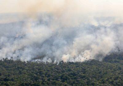 Ações urgentes são cobradas para o combate à queimadas no interior do AM