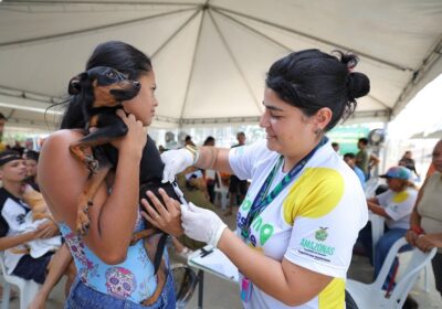 Bairro Grande Vitória recebe serviços de castração e vacinação para pets