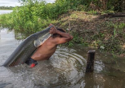 Filme amazonense concorre ao ‘Oscar’ do cinema de natureza