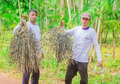 Franquia nacional de açaí busca espaço no mercado de Manaus