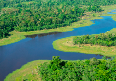 Inpa realiza Congresso sobre ajuda da pós-graduação para a emergência climática