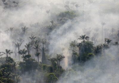 Governo entra com primeira ação por danos climáticos contra a Amazônia