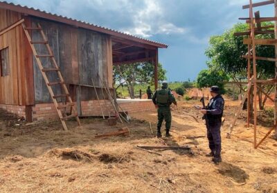 Mais de R$ 16 milhões em multas foram aplicadas por crimes ambientais no AM