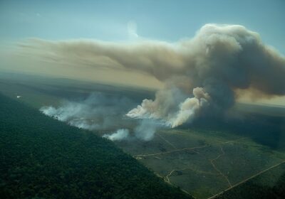 Amazon e outras empresas irão comprar US$ 180 milhões em créditos de carbono da Amazônia