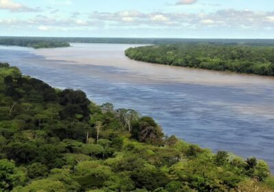 Dia da Amazônia: especialista destaca a relevância da preservação da floresta