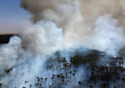 Efeitos da fumaça na saúde preocupam especialistas