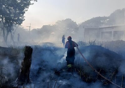 Em 24 horas, 18 incêndios são combatidos em áreas de vegetação em Manaus