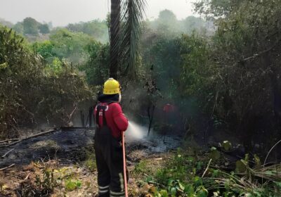 Em agosto, Manaus registrou mais de 320 ocorrências de incêndios