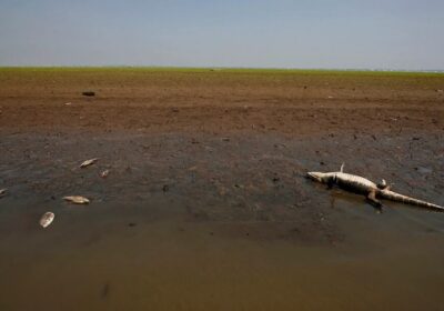 Seca de rios favorece caça e pesca ilegais na Amazônia