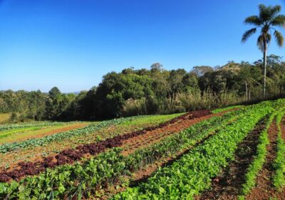 Últimos dias para projetos de agricultura concorrerem a até R$ 900 mil